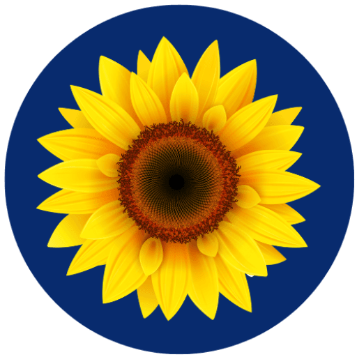 Kansas Insurance